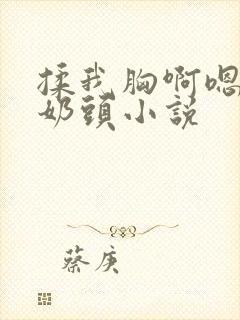 揉我胸啊嗯摸湿奶头小说封面