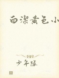 白洁黄色小说