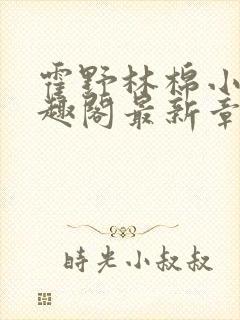 霍野林棉小说笔趣阁最新章节更新