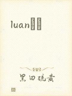 luanС˵封面