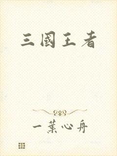 三国王者