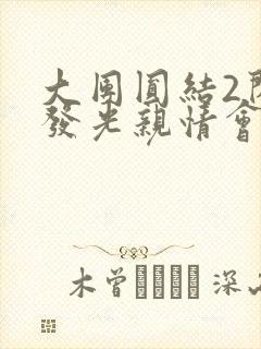 大团圆结2闪闪发光亲情会