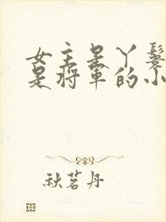 女主是丫鬟男主是将军的小说封面