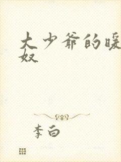 大少爷的暖床小奴