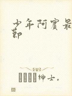 少年阿宾最新章节