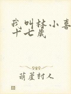 我叫林小喜今年十七岁封面