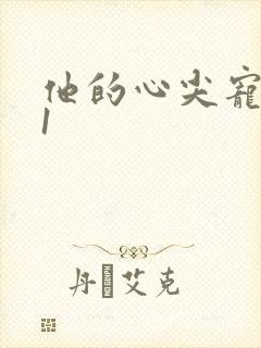 他的心尖宠1v1封面