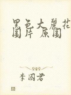 黑色大丽花真实图片 原图