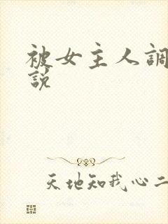 被女主人调教小说