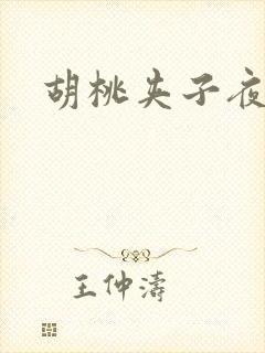 胡桃夹子夜未眠