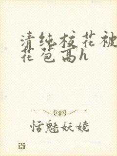 清纯校花被迫开花苞高h