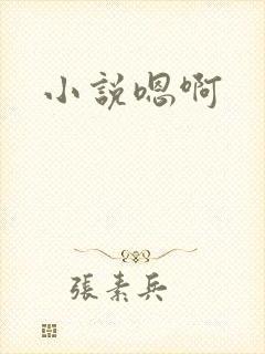 小说嗯啊
