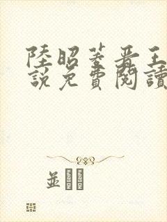 陆昭菱晋王的小说免费阅读