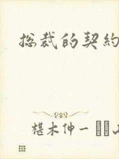 总裁的契约情人