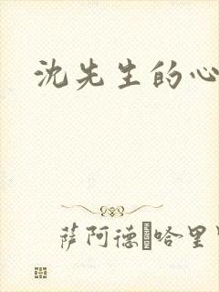 沈先生的心头宝