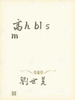 高h bl sm封面