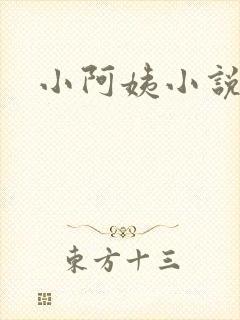 小阿姨小说
