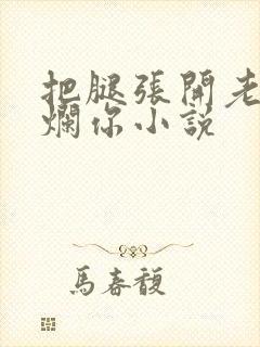 把腿张开老子臊烂你小说封面