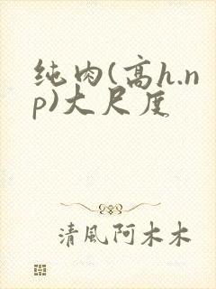 纯肉(高h.np)大尺度