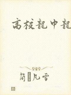 高校龙中龙