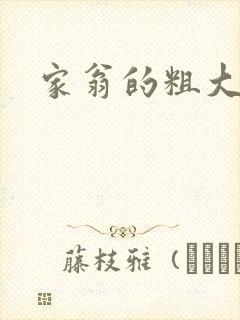 家翁的粗大