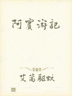 阿宾游记