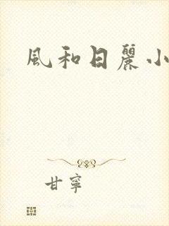 风和日丽小说