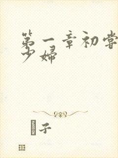 第一章初尝极品少妇