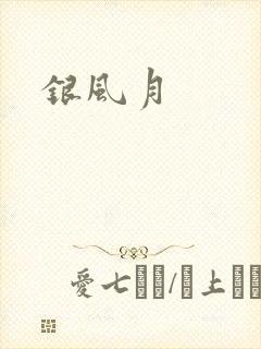 银风月封面