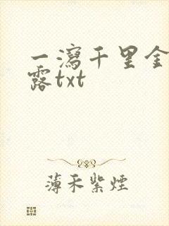 一泻千里金银花露txt封面