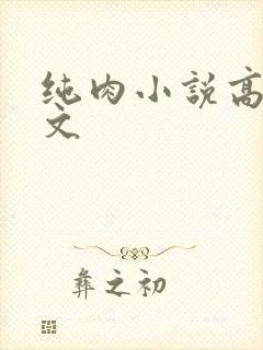 纯肉小说高h辣文