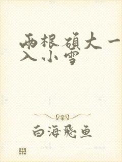 两根硕大一起挤入小雪