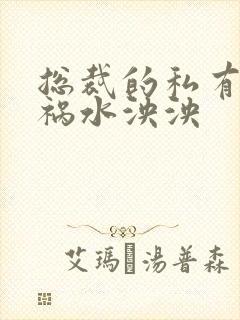 总裁的私有宝贝祸水泱泱