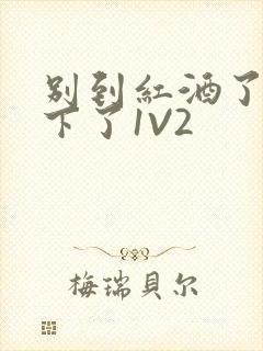 别到红酒了装不下了1V2