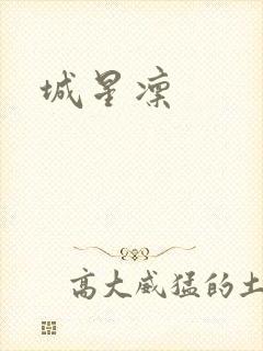 城星凛封面