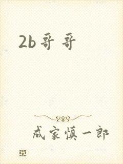 2b哥哥