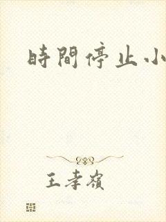 时间停止小说