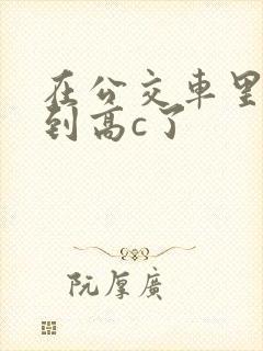 在公交车里c弄到高c了