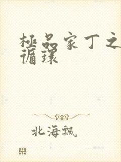 极品家丁之因果循环