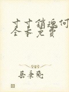 寸寸销魂何生祥全本免费