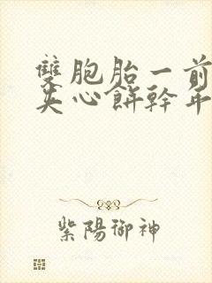 双胞胎一前一后夹心饼干年下