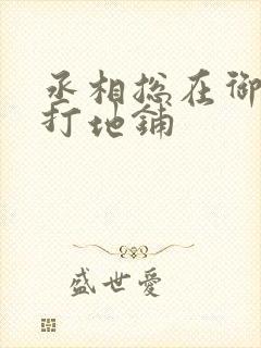 丞相总在御书房打地铺