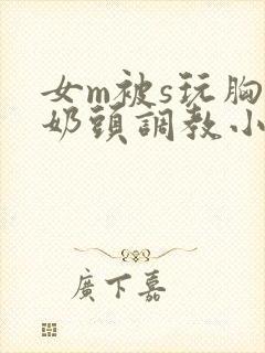 女m被s玩胸虐奶头调教小说