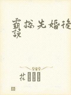 霸总先婚后爱小说