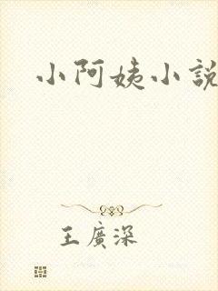 小阿姨小说