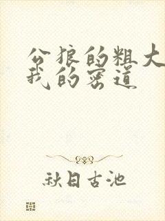 公狼的粗大挺进我的密道封面