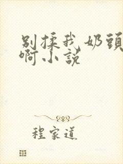 别揉我奶头嗯～啊小说