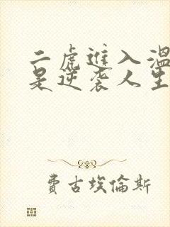 二虎进入温如玉是逆袭人生封面