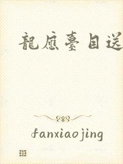 龙应台目送封面