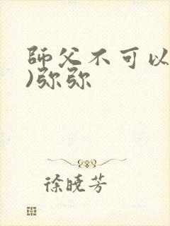师父不可以(限)弥弥封面